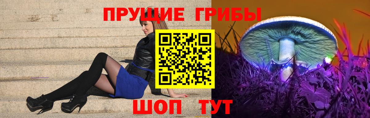 Псилоцибиновые грибы GOLDEN TEACHER Северск