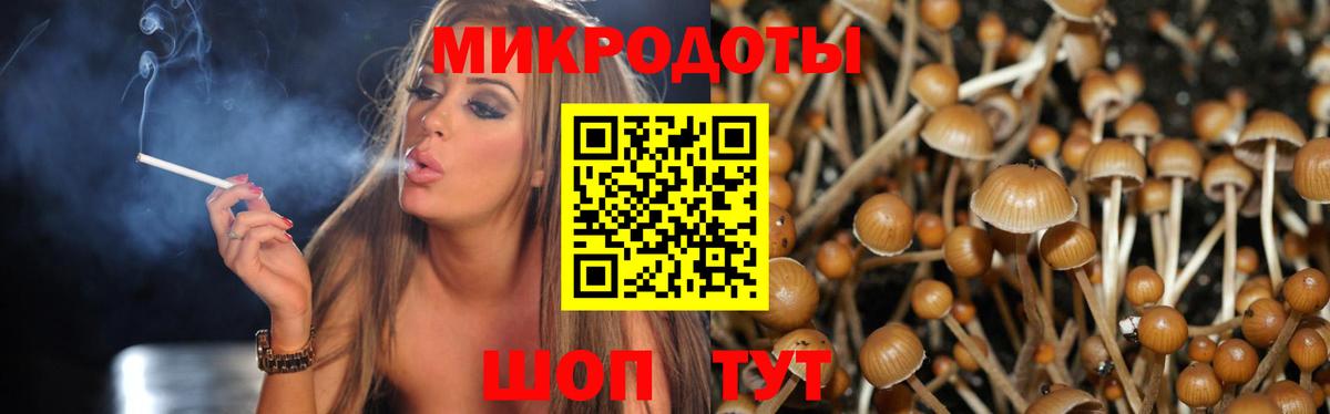 Галлюциногенные грибы Psilocybe  Вход с VPN  Северск 