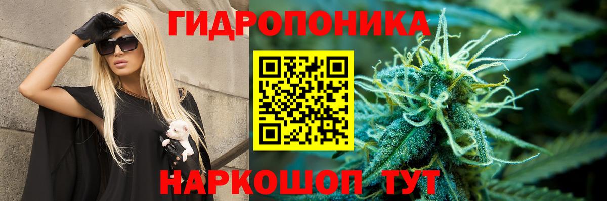 Бошки Шишки семена Северск